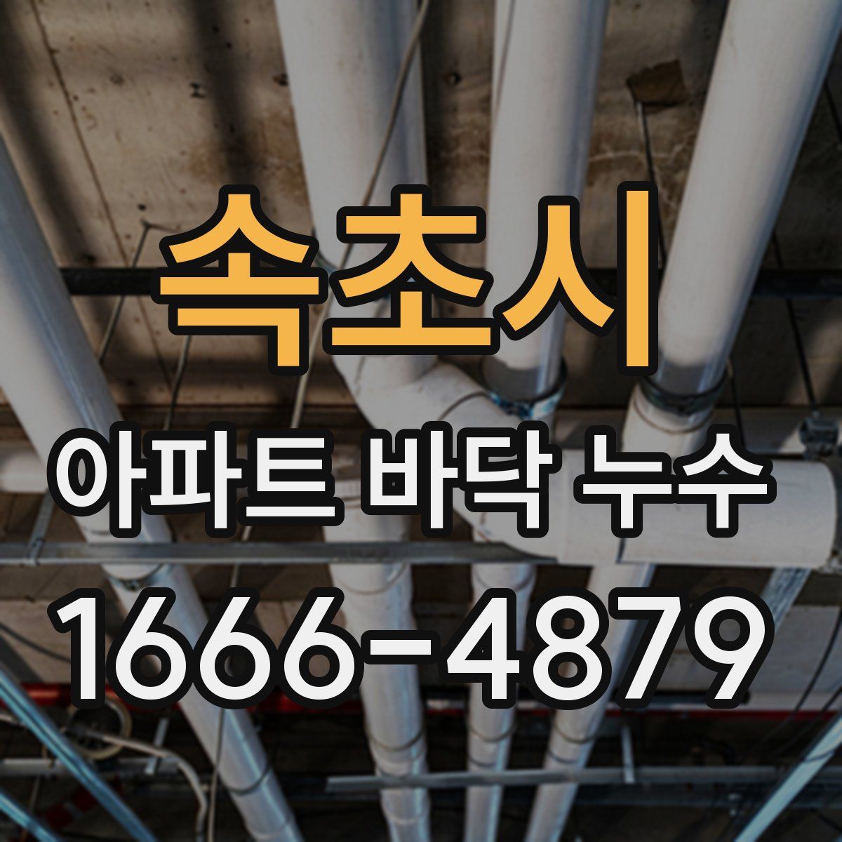 속초시 아파트 바닥 누수