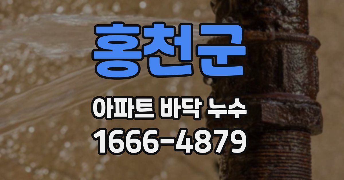 홍천군 아파트 바닥 누수