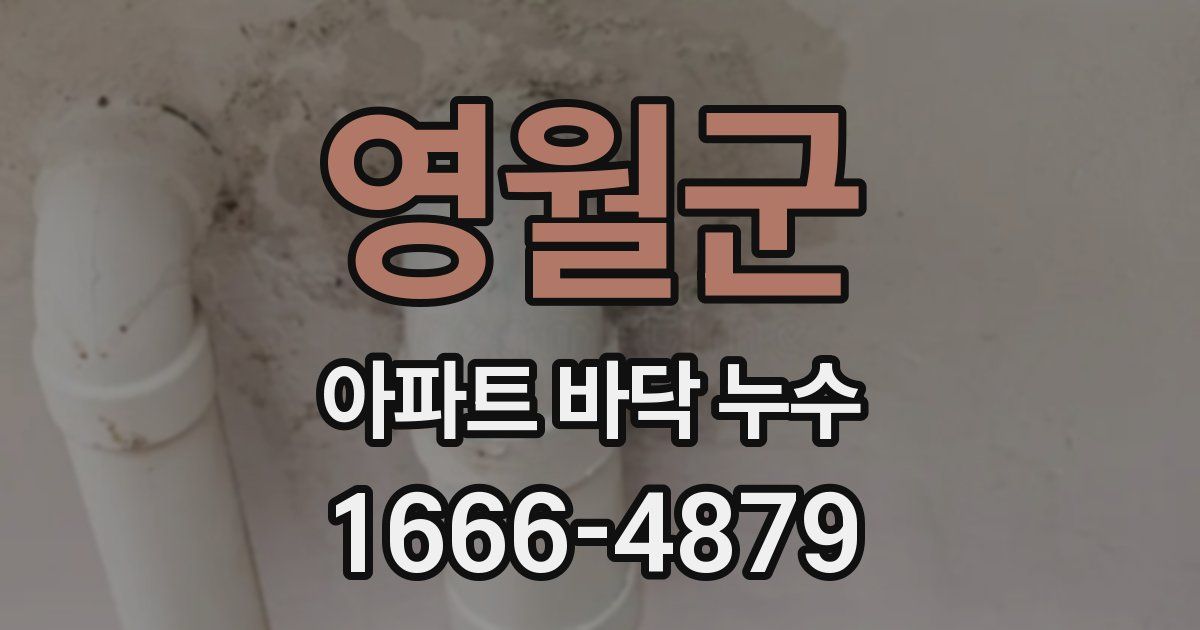 영월군 아파트 바닥 누수
