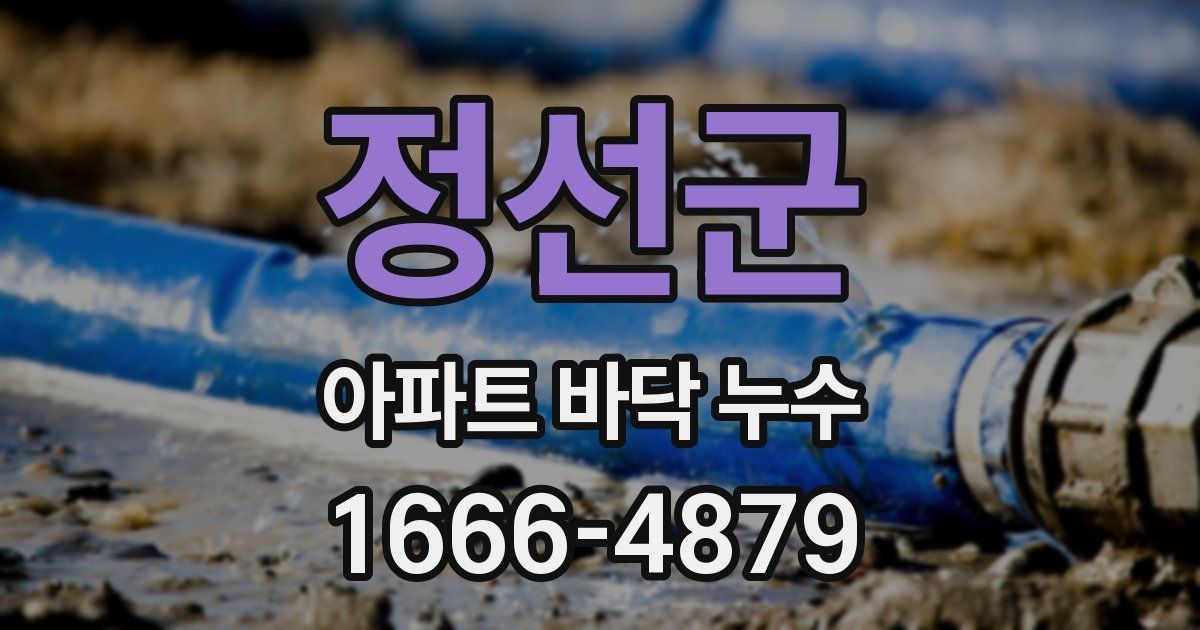 정선군 아파트 바닥 누수