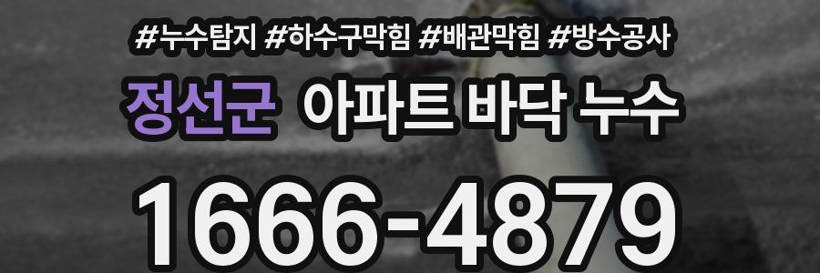 정선군 아파트 바닥 누수