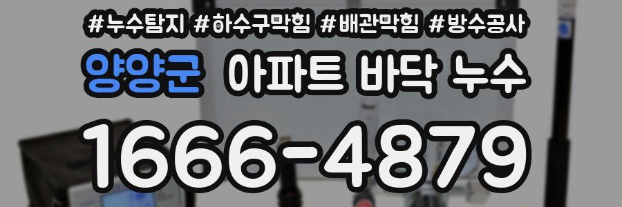 양양군 아파트 바닥 누수