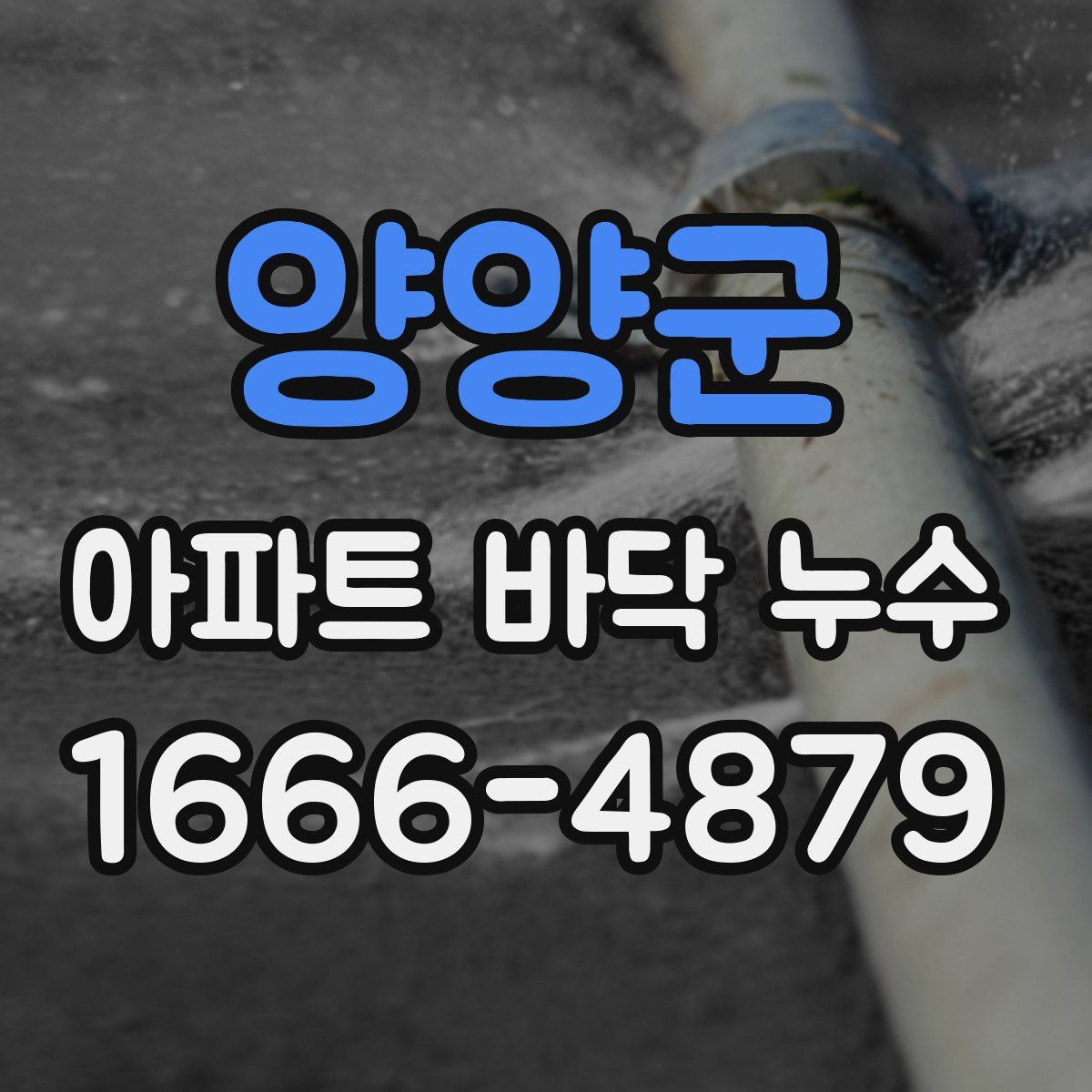 양양군 아파트 바닥 누수