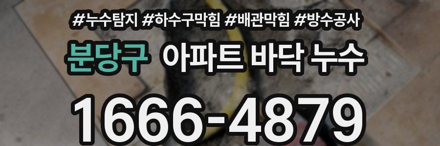 분당구 아파트 바닥 누수
