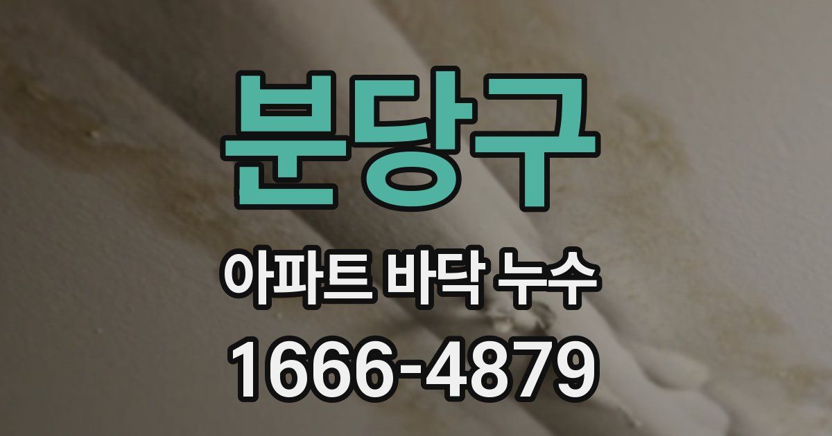 분당구 아파트 바닥 누수