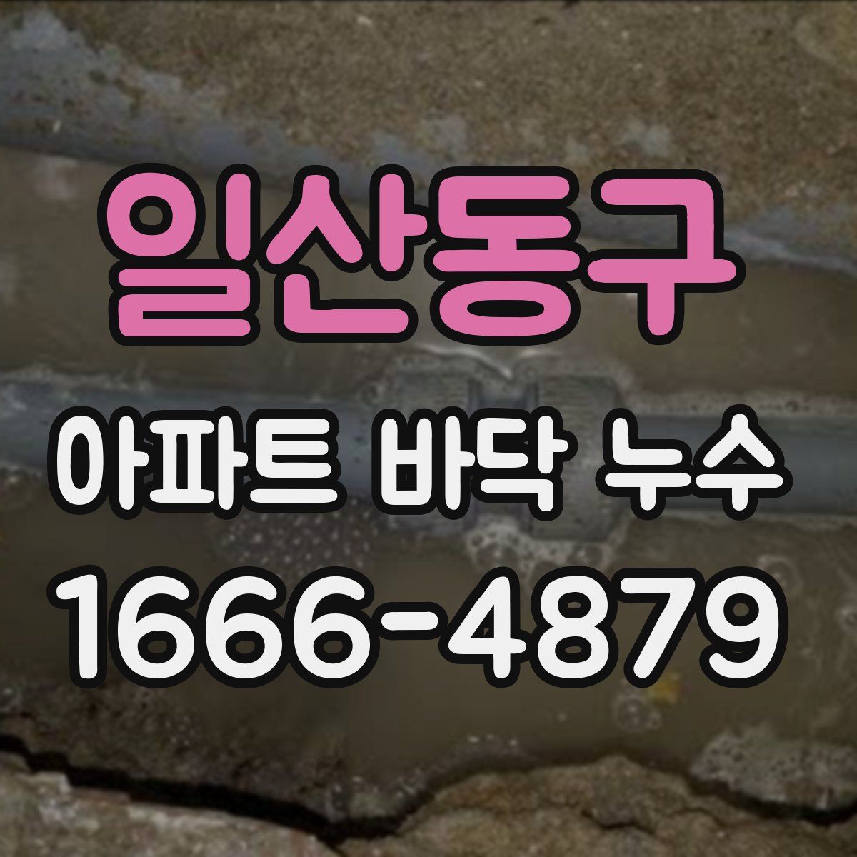 일산동구 아파트 바닥 누수