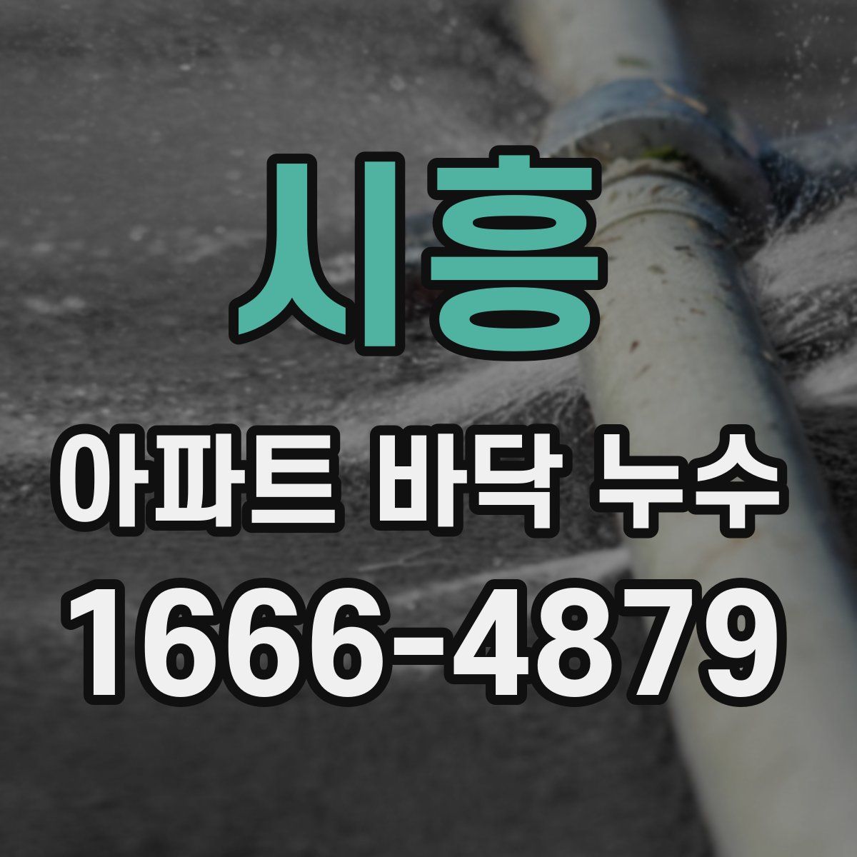 시흥 아파트 바닥 누수