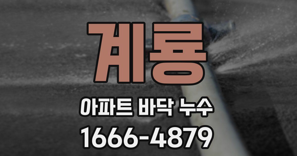 계룡 아파트 바닥 누수