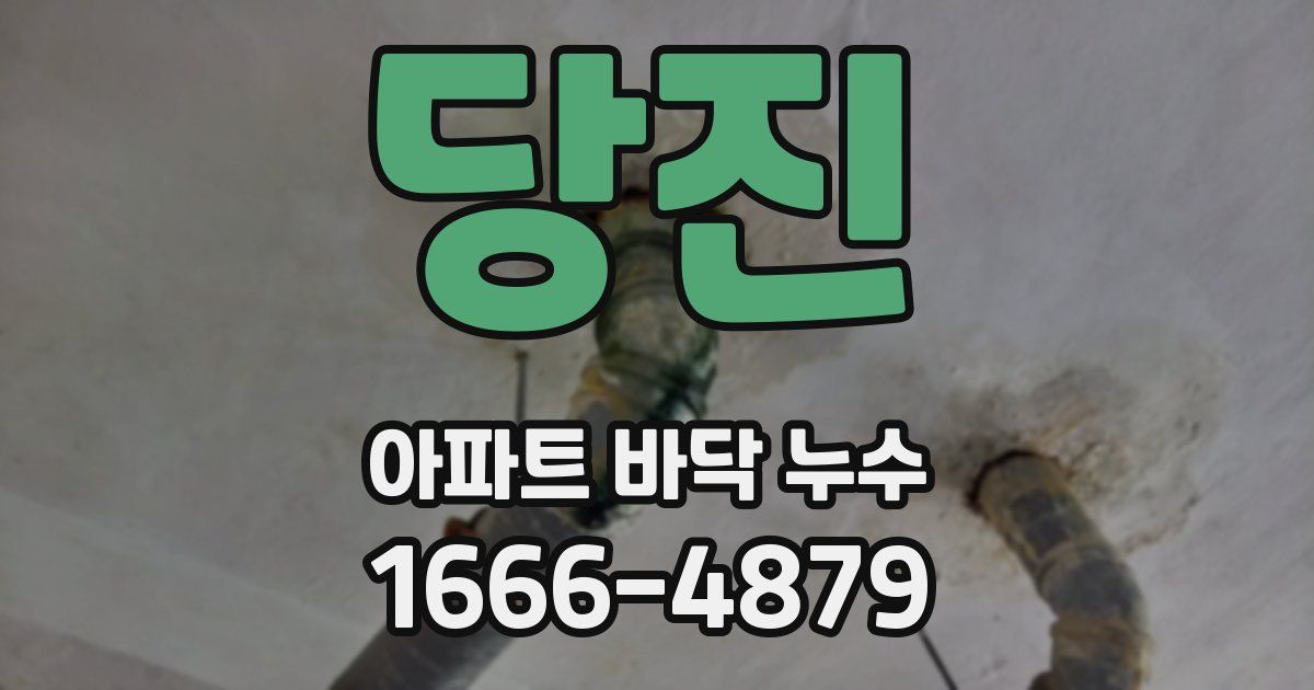 당진 아파트 바닥 누수