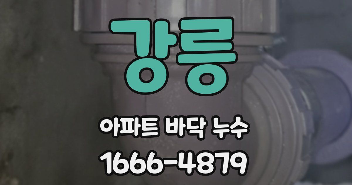 강릉 아파트 바닥 누수