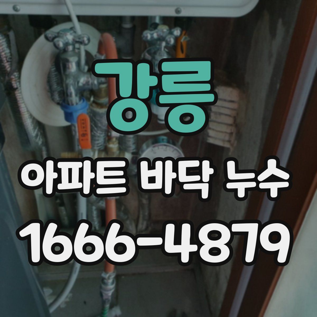 강릉 아파트 바닥 누수