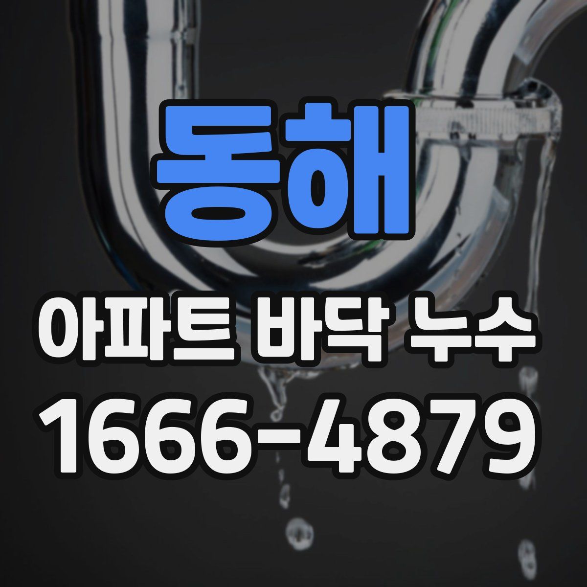 동해 아파트 바닥 누수