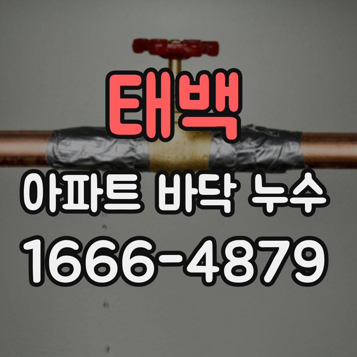 태백 아파트 바닥 누수