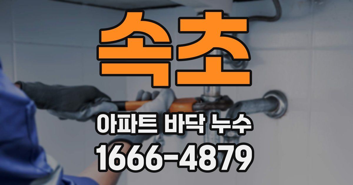 속초 아파트 바닥 누수