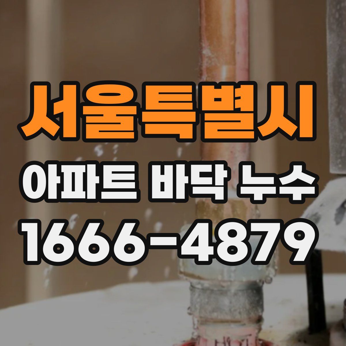 서울특별시 아파트 바닥 누수