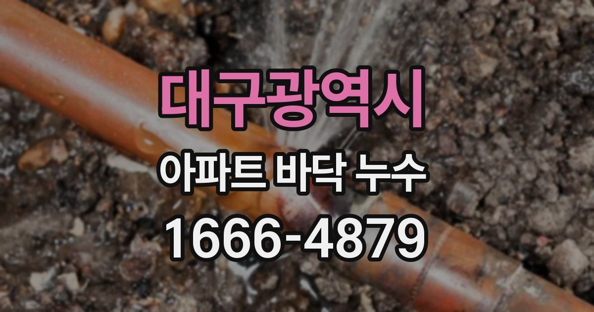 대구광역시 아파트 바닥 누수