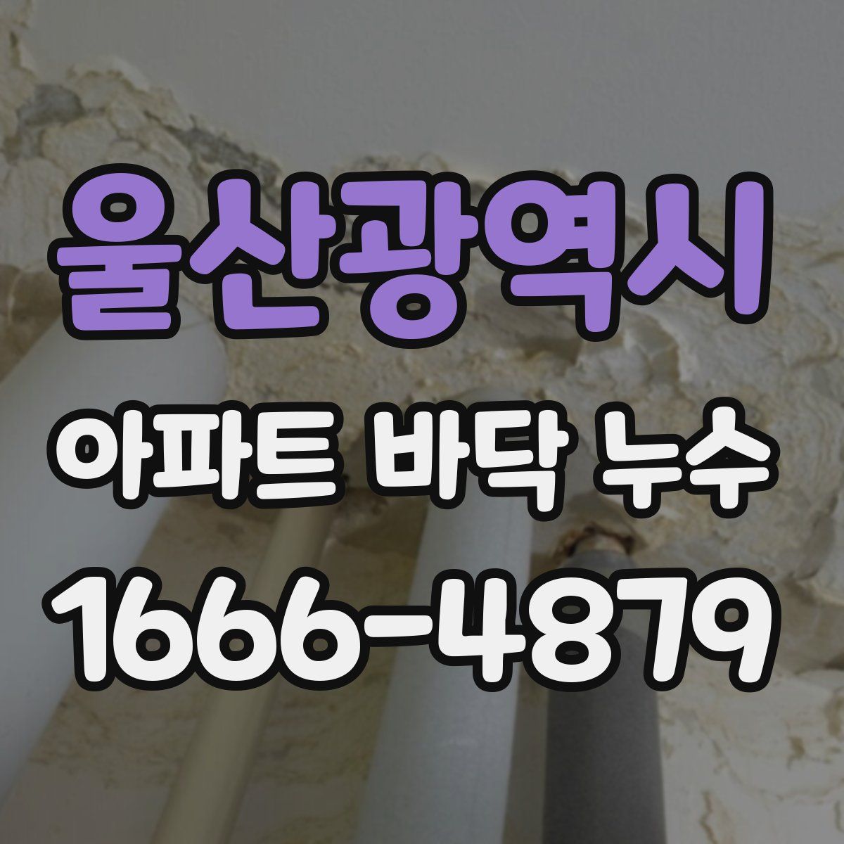 울산광역시 아파트 바닥 누수