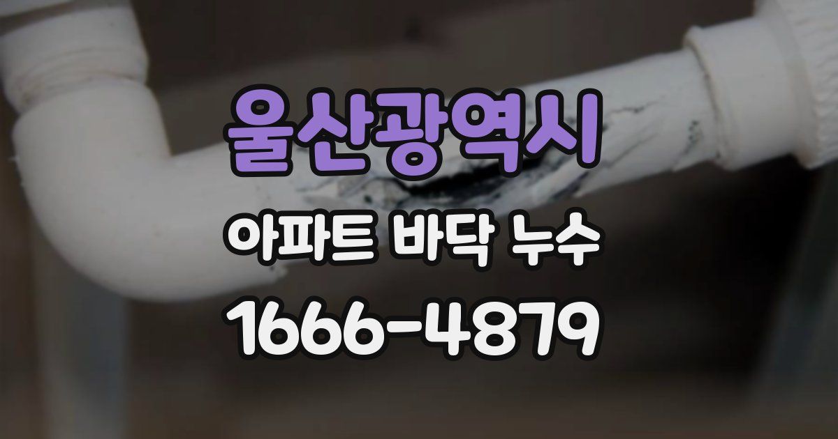 울산광역시 아파트 바닥 누수