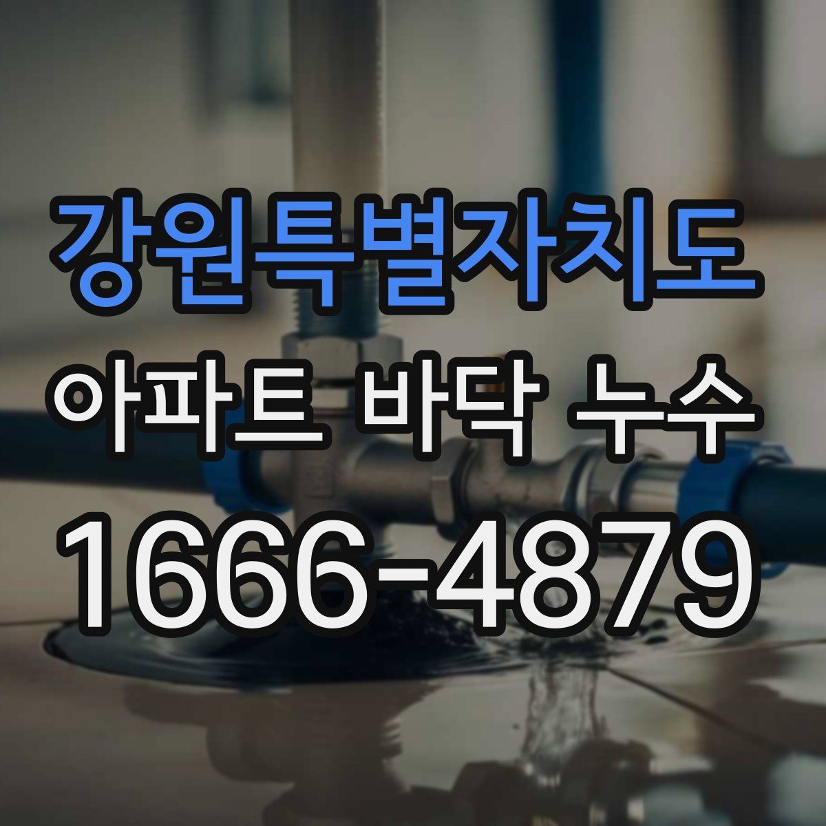 강원특별자치도 아파트 바닥 누수