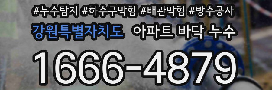강원특별자치도 아파트 바닥 누수