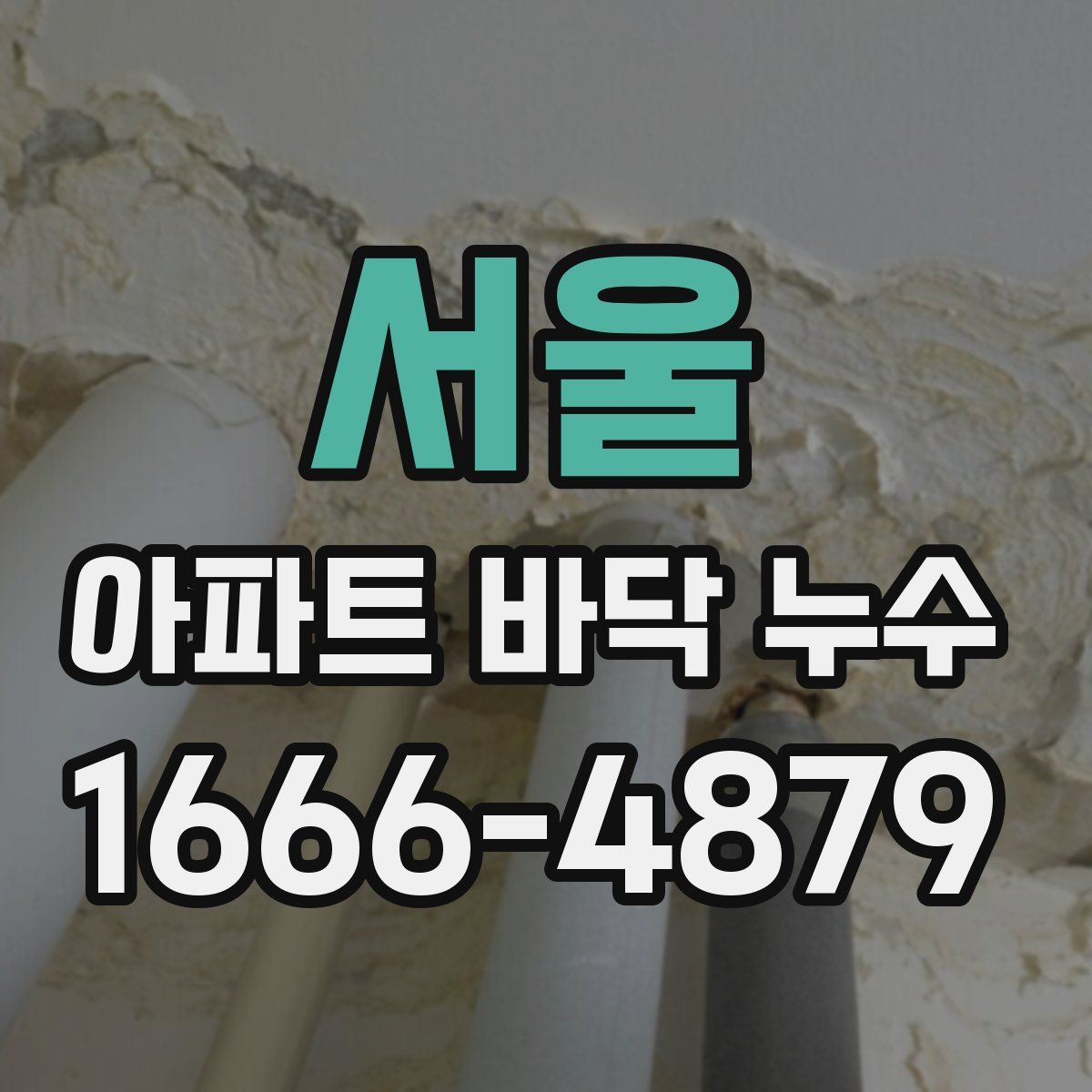 서울 아파트 바닥 누수