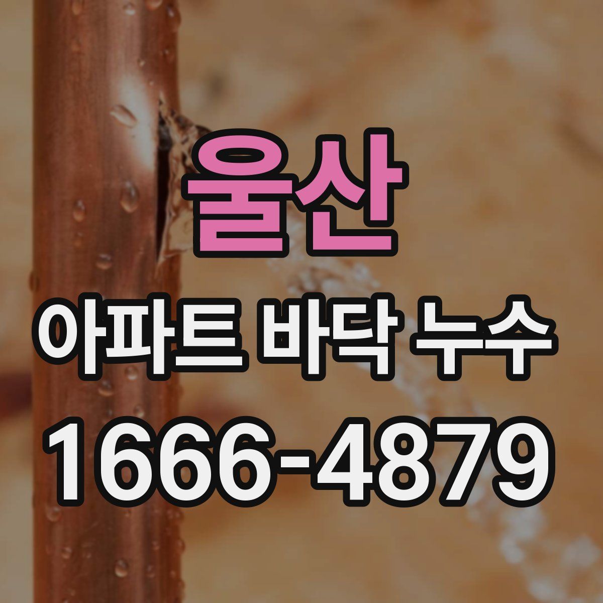울산 아파트 바닥 누수