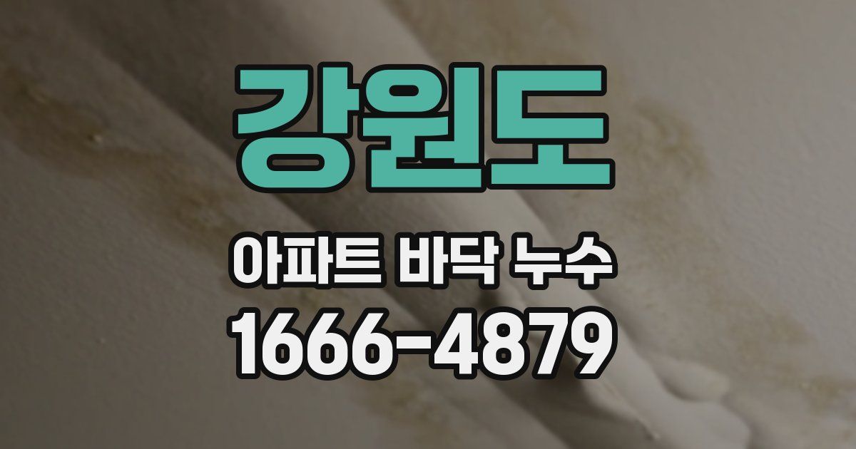 강원도 아파트 바닥 누수