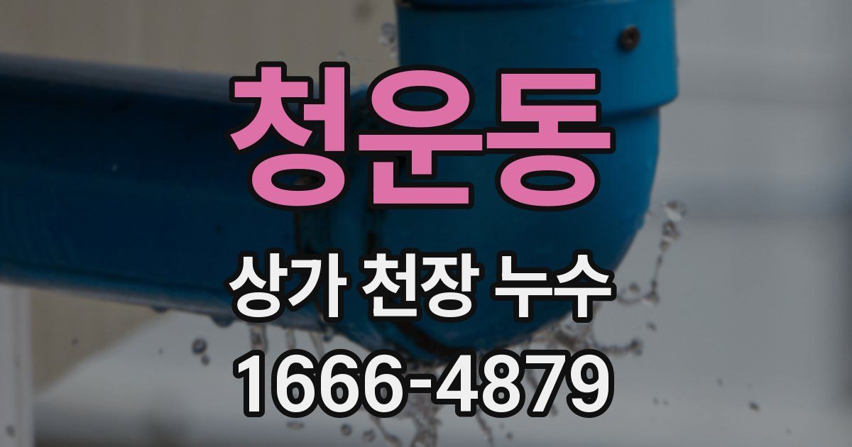 청운동 상가 천장 누수