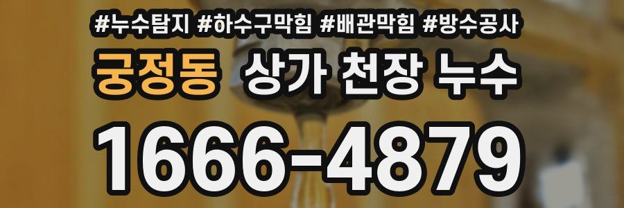 궁정동 상가 천장 누수