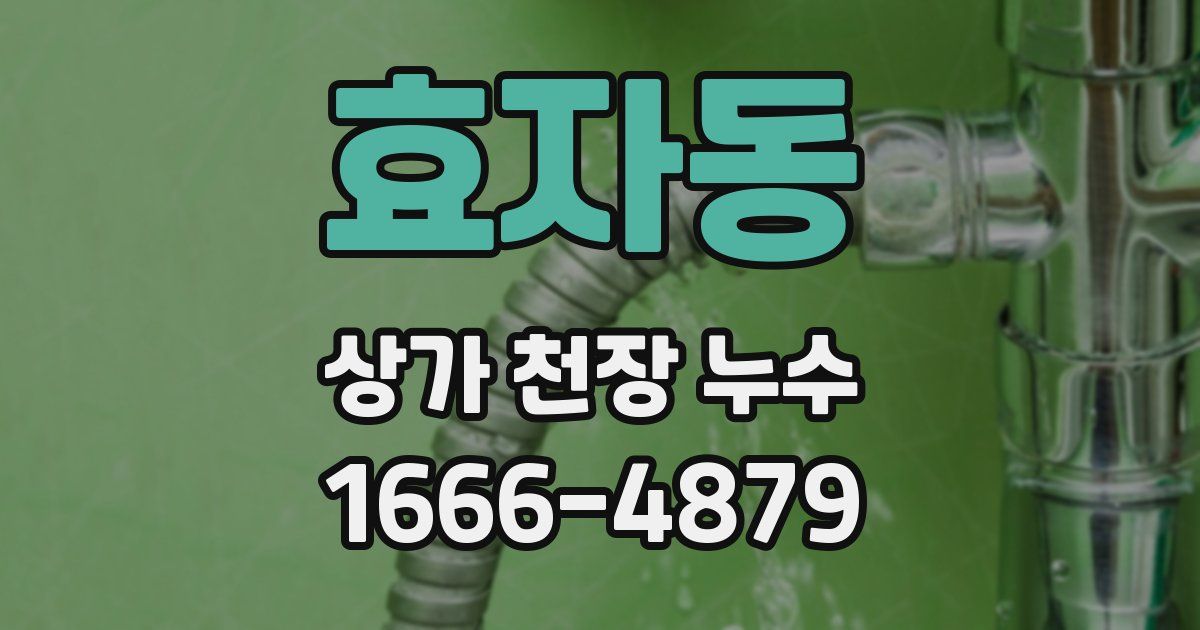 효자동 상가 천장 누수