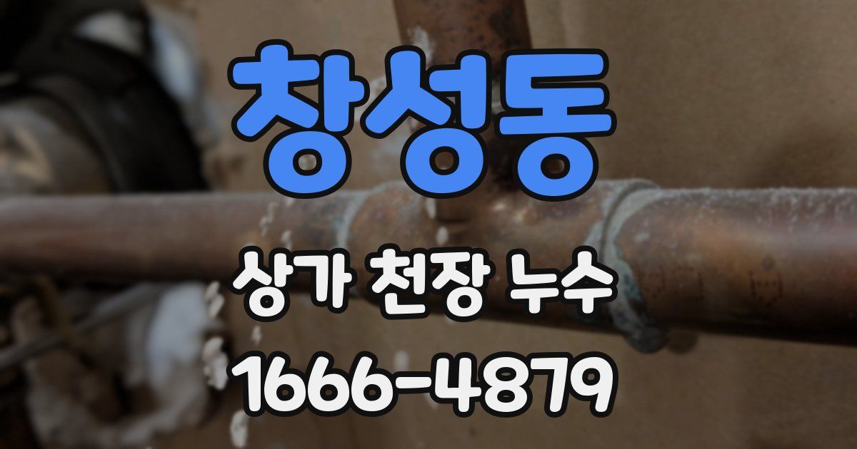 창성동 상가 천장 누수