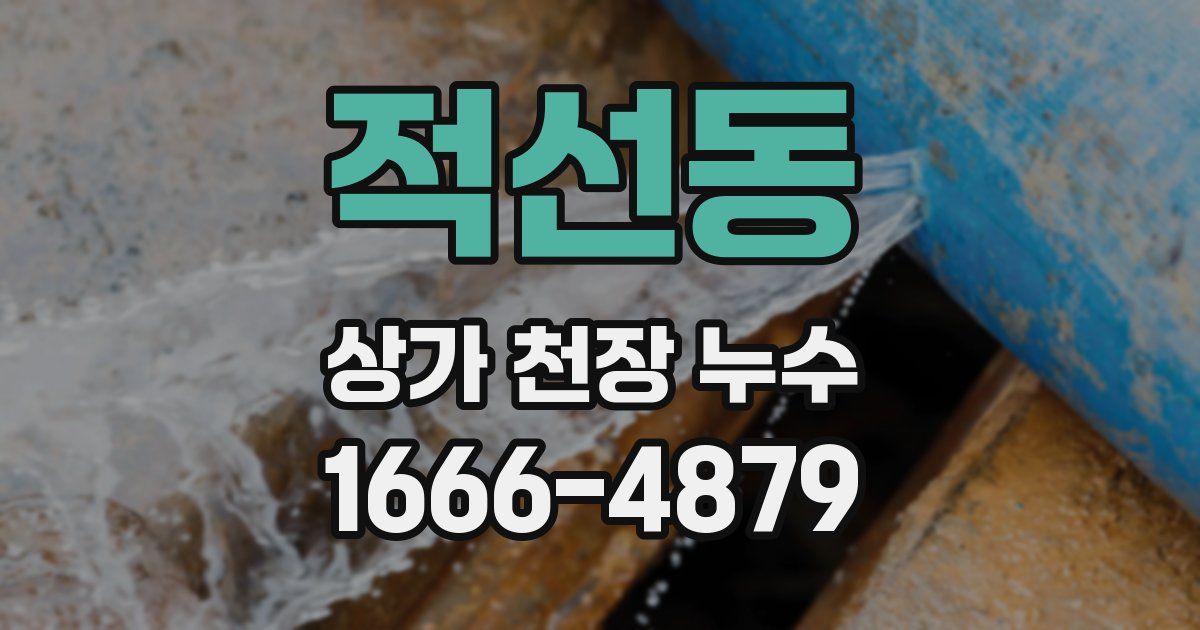 적선동 상가 천장 누수