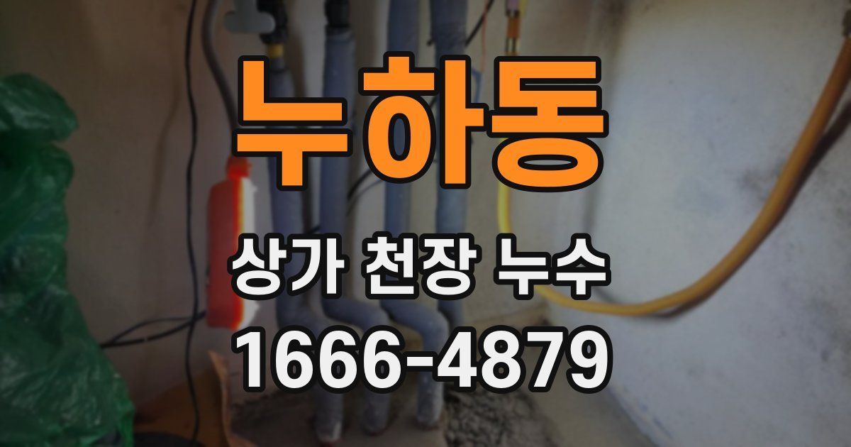 누하동 상가 천장 누수