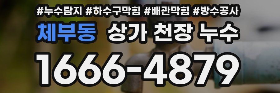 체부동 상가 천장 누수
