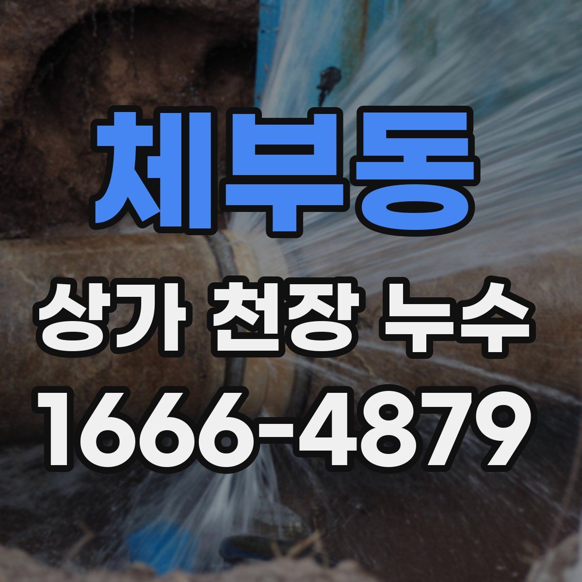 체부동 상가 천장 누수