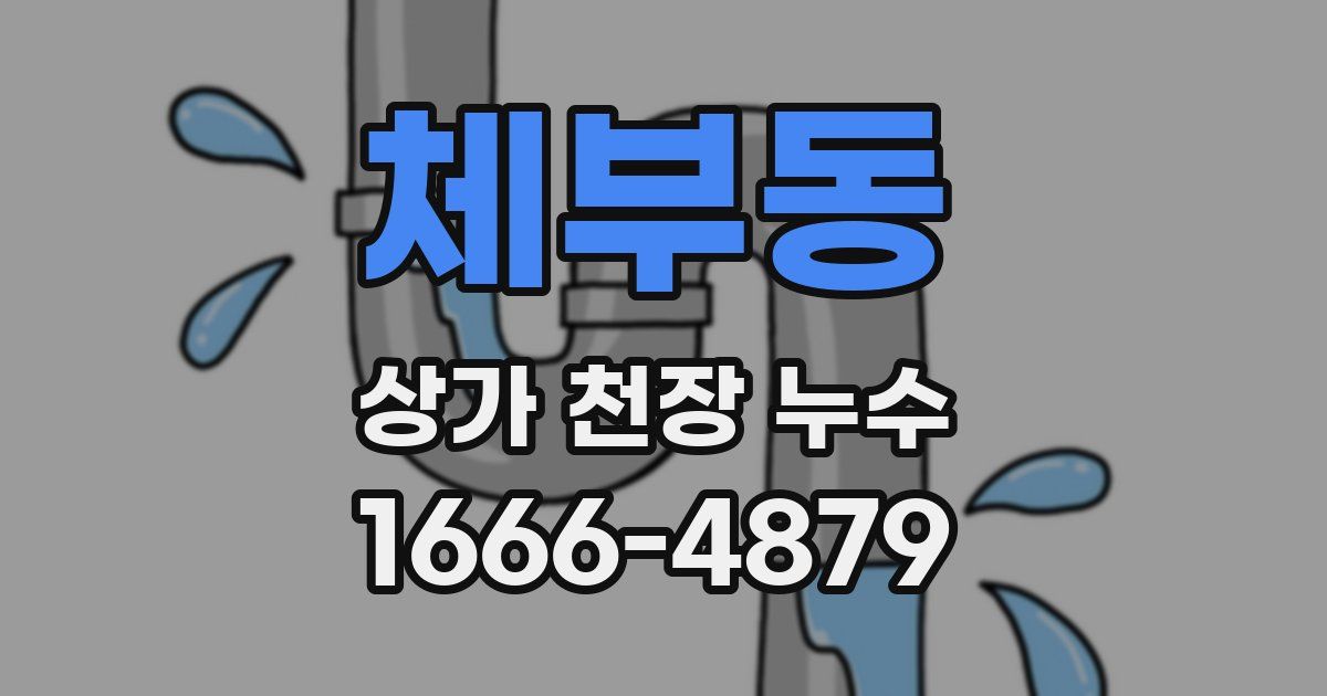 체부동 상가 천장 누수