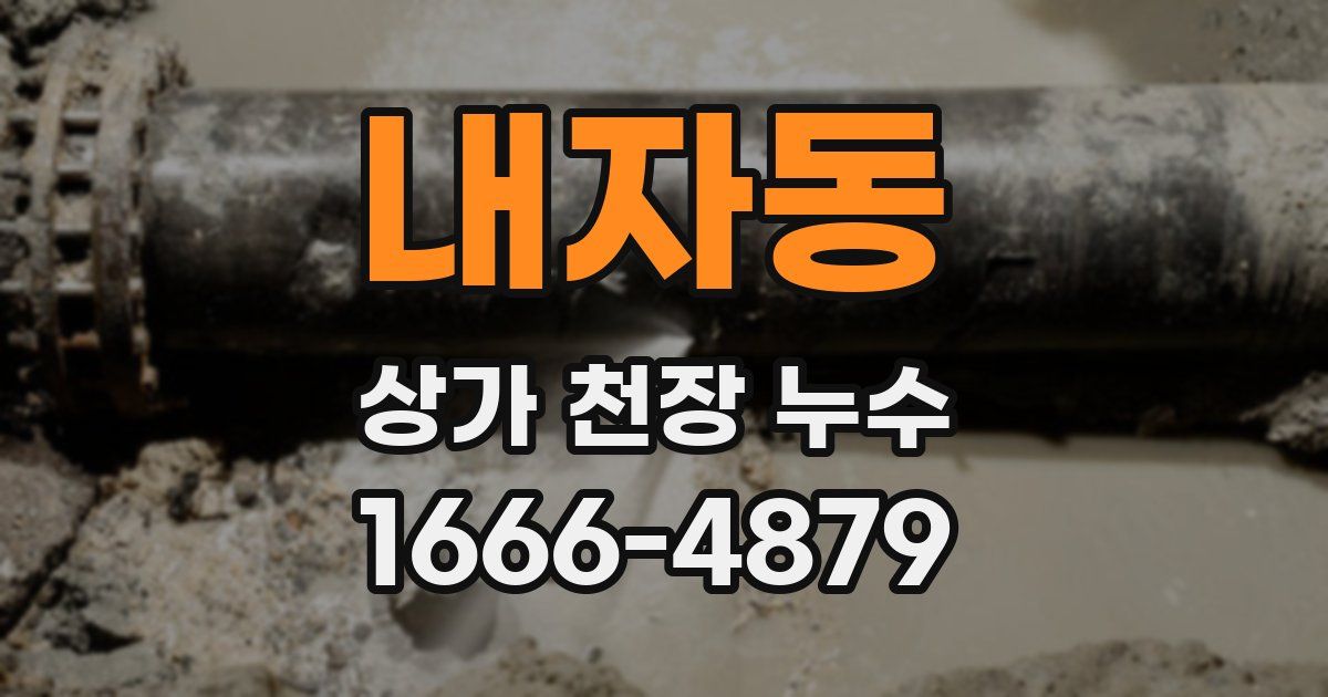내자동 상가 천장 누수