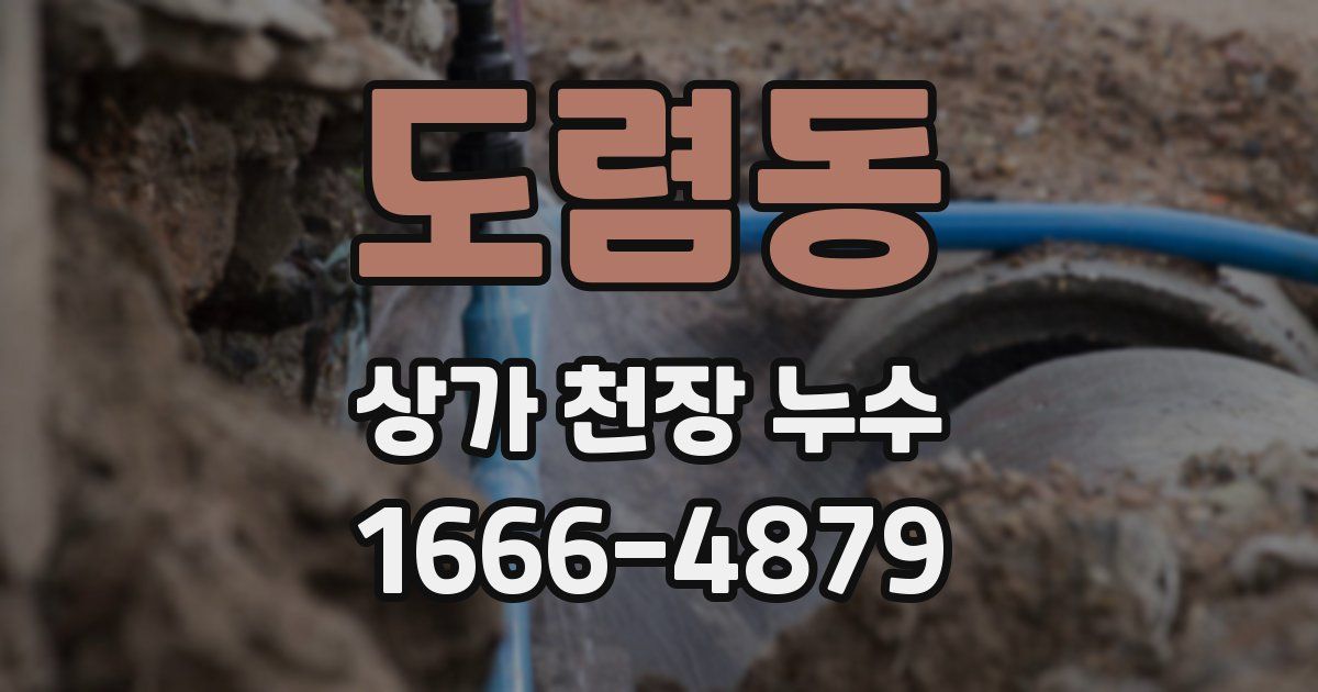 도렴동 상가 천장 누수