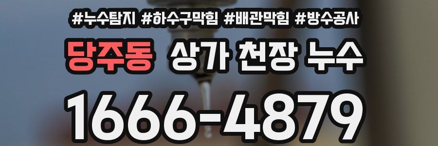 당주동 상가 천장 누수