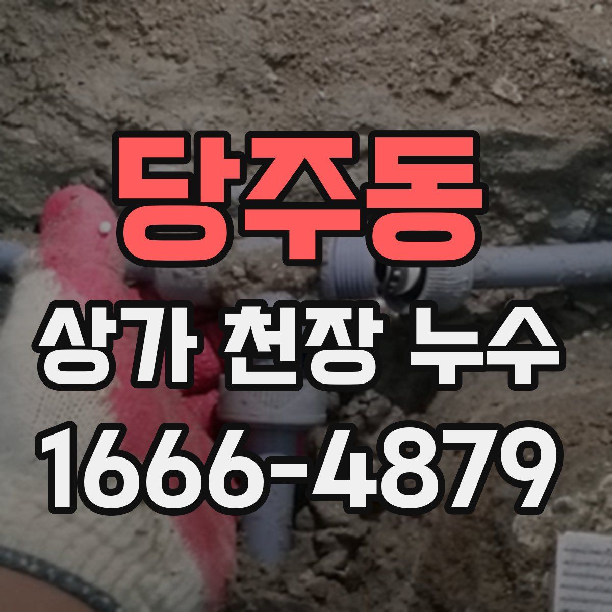 당주동 상가 천장 누수