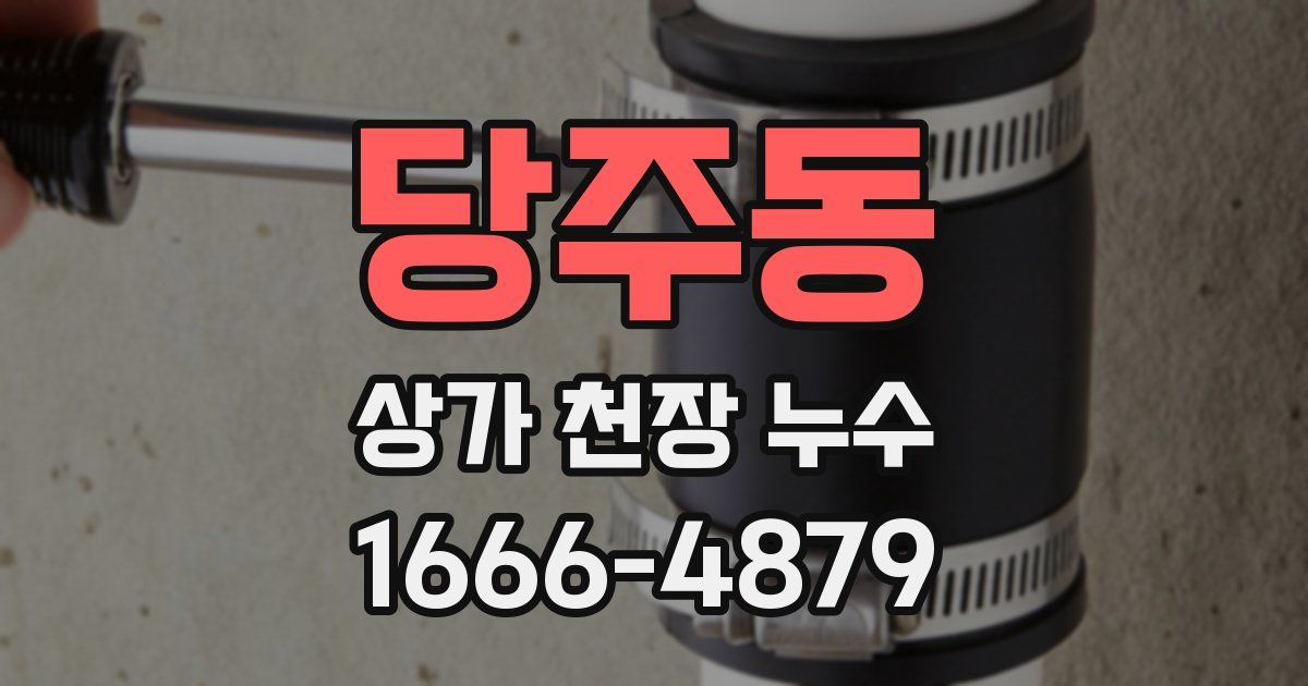 당주동 상가 천장 누수