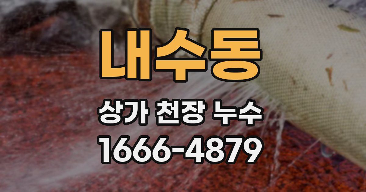 내수동 상가 천장 누수