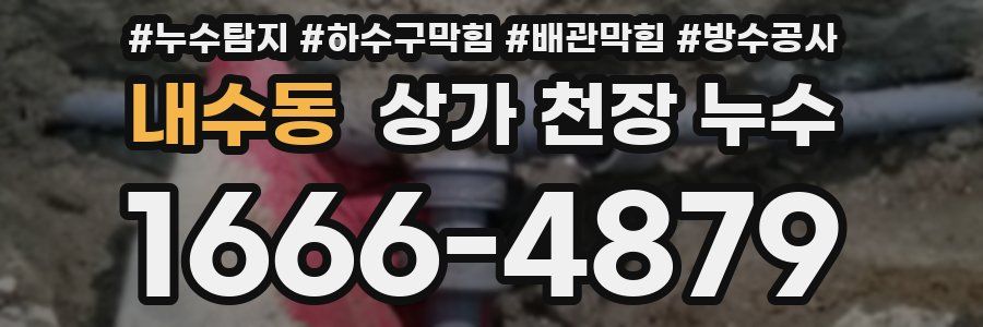 내수동 상가 천장 누수