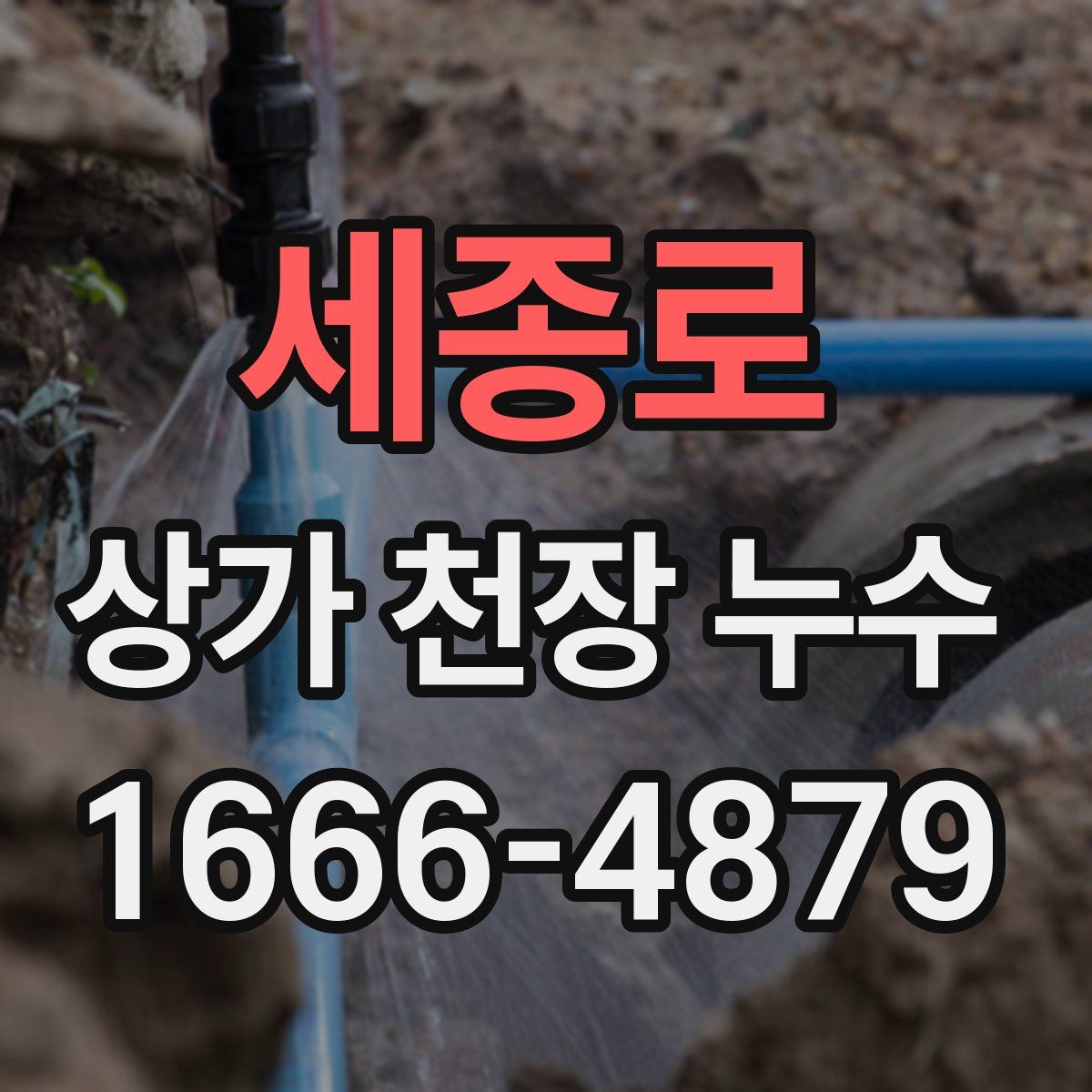 세종로 상가 천장 누수