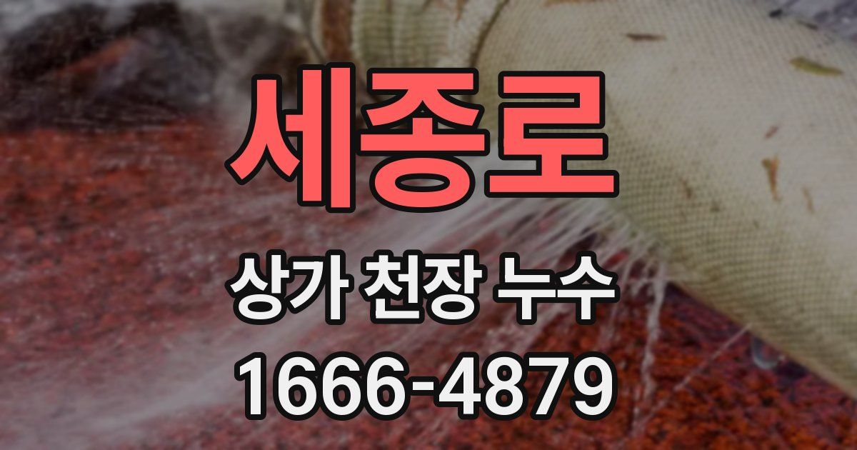 세종로 상가 천장 누수