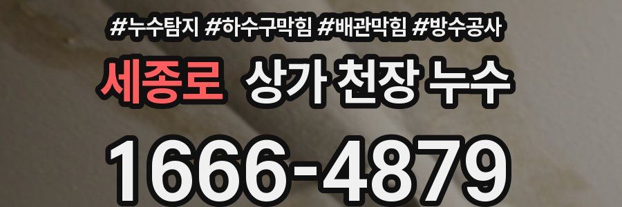 세종로 상가 천장 누수