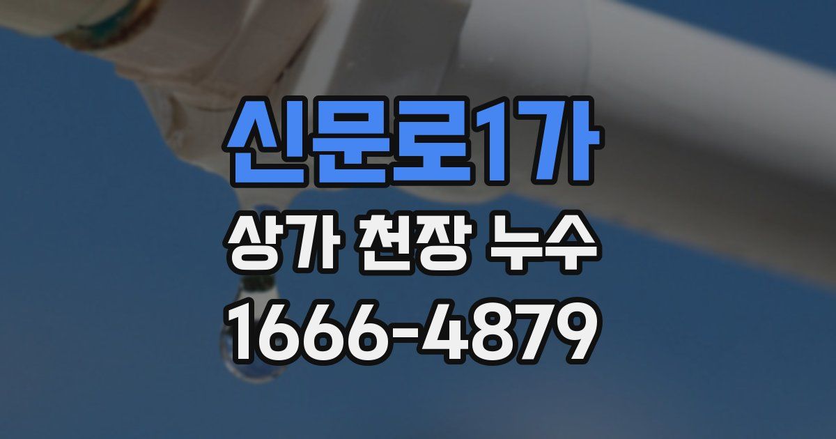 신문로1가 상가 천장 누수