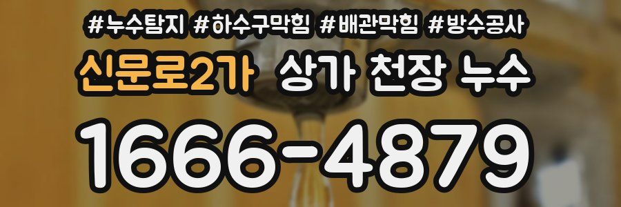 신문로2가 상가 천장 누수