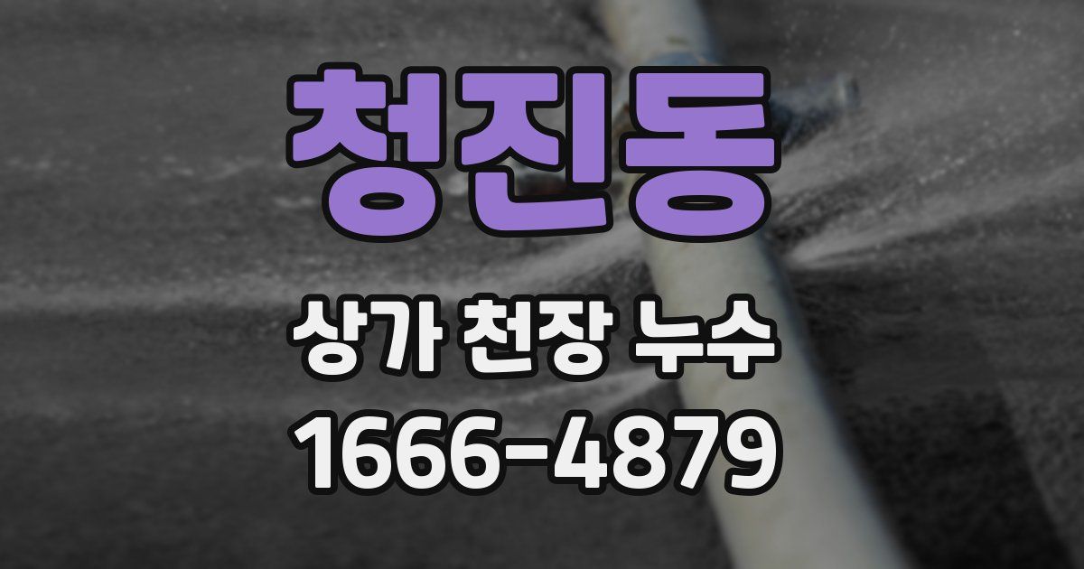 청진동 상가 천장 누수