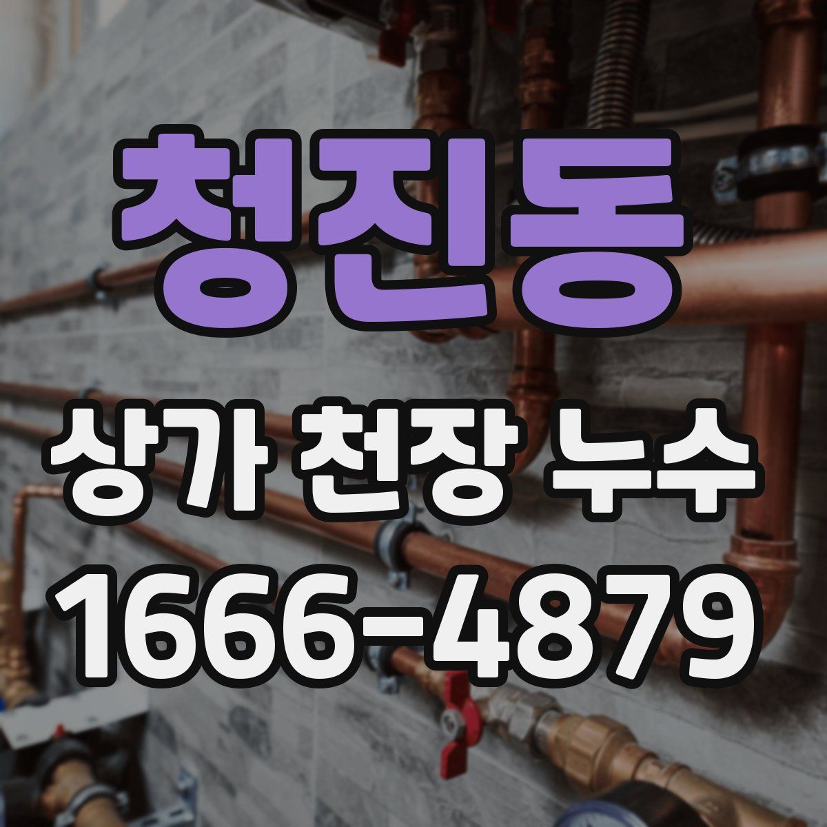 청진동 상가 천장 누수